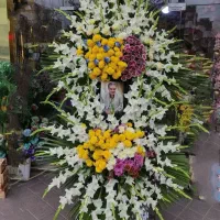 گل آرایی|گل و گیاه طبیعی|ملایر, |دیوار