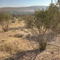 زمین باغی خالدآباد