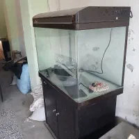 آکواریوم شیشه خم خارجی وارداتی