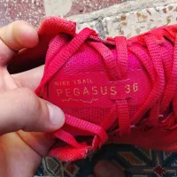 کفش اصلی|کیف، کفش، کمربند|هرسین, |دیوار