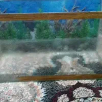 فروش اکواریوم|ماهی|گلبهار, شهر جدید گلبهار|دیوار