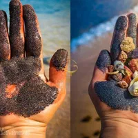 سفر به جزیره زیبای قشم