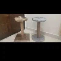 جشنواره تخفیف درخت گربه ،اسکرچریا خانه گربه|لوازم جانبی حیوانات|سهند, |دیوار