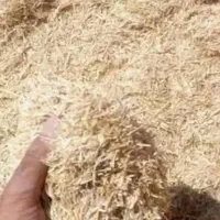 کاه گندم دیم