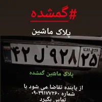 پلاک ماشین گمشده