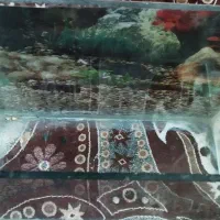 اکواریوم|ماهی|اهواز, کارون|دیوار