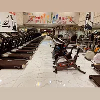 تردمیل دوچرخه ثابت -استرانگ مستر-T1700