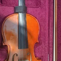 ویولن