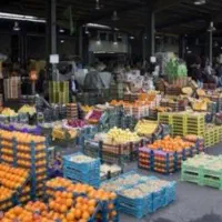 استخدام نیروی جوان