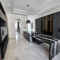 ۲۵۰متر سوپرمدرن Full استخر ۴فصل در روف مجهز به بار|اجارهٔ آپارتمان|تهران, فرمانیه|دیوار