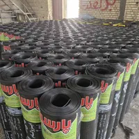 فروش و نصب ایزوگام با کادری مجرب|خدمات پیشه و مهارت|لاهیجان, گلستان|دیوار