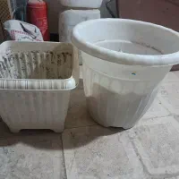 گلدان پلاستیکی