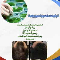 شامپو  اسپیرولینا|آرایشی، بهداشتی، درمانی|اسدآباد, |دیوار