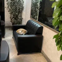 خط تلفن ثابت رند