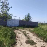 فروش زمین باغی 725 متررشت روستای طرازکوه(نسق)|فروش زمین و ملک کلنگی|رشت, پسیخان|دیوار