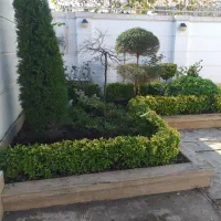 خدمات باغبانی|خدمات باغبانی و درختکاری|لاهیجان, کوی استادان|دیوار