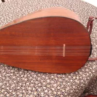 ساز قو پوز سالم وخوش صدا