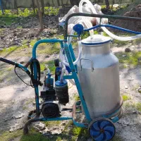 شیردوش|لوازم جانبی حیوانات|آستانه اشرفیه, |دیوار