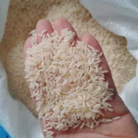 برنج ارگانیک محلی|خوردنی و آشامیدنی|رشت, معلولین|دیوار