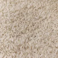 برنج طارم بخش بیرانوند (چغلوندی)|خوردنی و آشامیدنی|بیرانوند, |دیوار