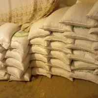 گندم بذری مهرگان|عمده‌فروشی|آبدانان, |دیوار