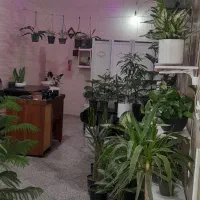 دنبال شریک کاری بامبلغ کم برای کافه گل|اجارهٔ مغازه و غرفه|هشتگرد, شهرک بعثت|دیوار