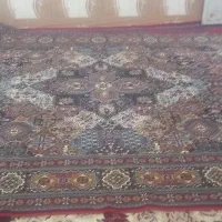قالی ۱۲ متری و ۹متری|فرش|اهواز, کوی مندلی(سه راه خرمشهر)|دیوار