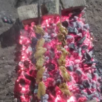 زغال کبابی
