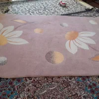 گلیم|گلیم، جاجیم، گبه|تایباد, |دیوار