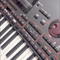 ارگ pa4xاورینتال|پیانو، کیبورد، آکاردئون|درگزین, |دیوار