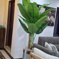 گلدان