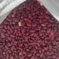 لوبیا قرمز درجه یک بوجاری شده