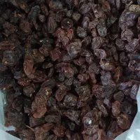 کشمش سرکه ای|خوردنی و آشامیدنی|ماهدشت, |دیوار