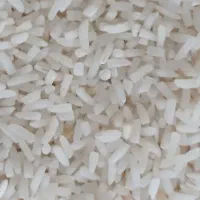 برنج هاشمی ۲۷۵و لاشه ۱۷۵و فجر سوزنی ۱۷۶ت|خوردنی و آشامیدنی|بابکان, |دیوار