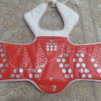 هوگو تکواندو