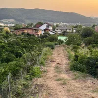 ۲۱۵ متر زمین با منظره کوهستانی جنگلی در تنگه لته