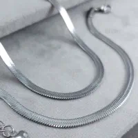 زنجیر ماری|بدلیجات|بوکان, |دیوار