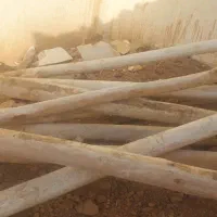 چوب چنار صنوبری|عمدهفروشی|زاگرس, |دیوار