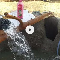 حفاری چاه اب بتونی|خدمات پیشه و مهارت|گرگان, |دیوار