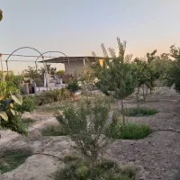 باغ ویلا|فروش خانه و ویلا|قرچک, صالح آباد|دیوار