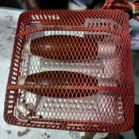 کرسی برقی ژاپنی