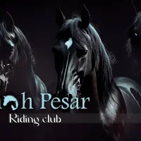 به یک نیرو جهت کار در باشگاه سوارکاری نیازمندیم