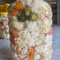 سرکه قزوین و ابلیمو جهرم|عمده‌فروشی|قم, صفاشهر|دیوار