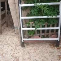 باربند