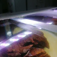 آکواریوم شیشه خم حلال|ماهی|شیراز, شیشهگری|دیوار