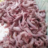 اسکلت ،گردن ، اسکلت کعب ران و گردن اسکلت چرخ شده|خوردنی و آشامیدنی|تهران, شمیران‌نو|دیوار