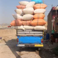 کاه نخود