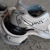 کفش اسپرت مردانه سایز۴۳