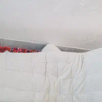 کناره نو دوجفت