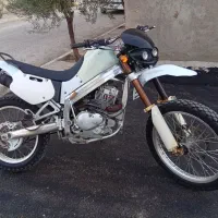 آمیکو تریل خشک